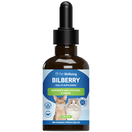 Bilberry - Supports Healthy Vision and Capillaries in Cats