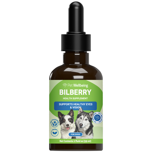 Bilberry - Supports Healthy Vision and Capillaries in Dogs