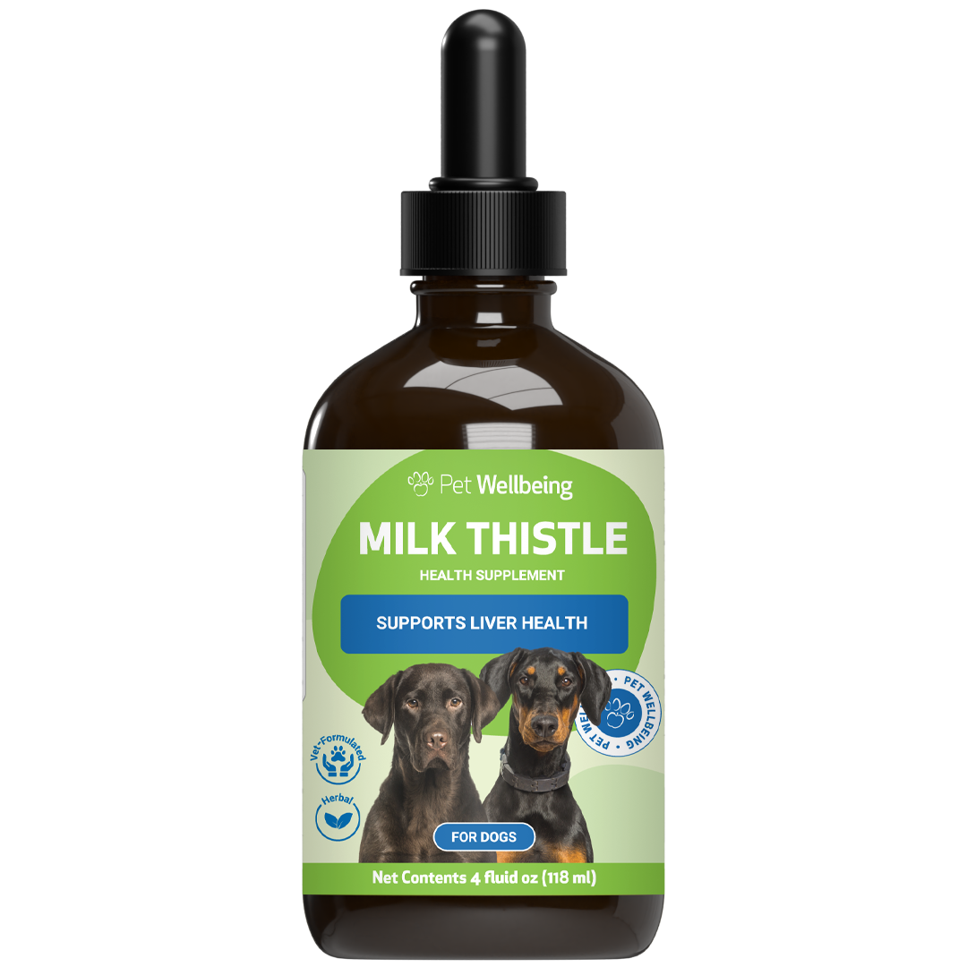 milk thistle for dogs with liver cancer