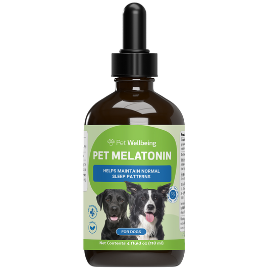 Pet Melatonin - for Healthy Sleep Patterns in Dogs