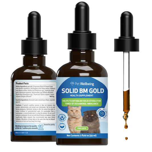 Solid BM Gold (BM Tone-Up) - Supports Healthy Stools and Digestive Function in Cats