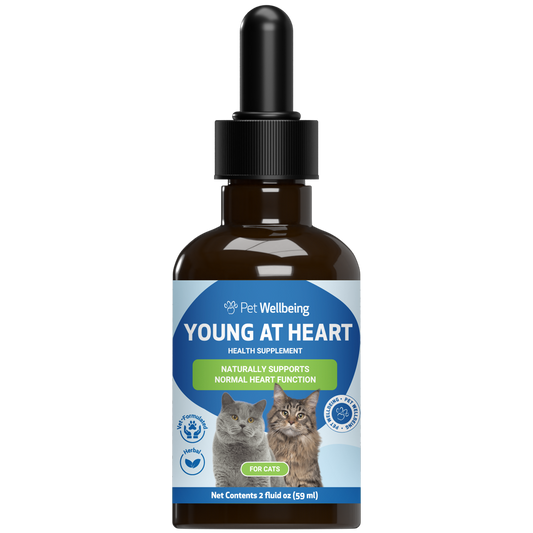 Young at Heart - Holistic Heart Health Care for Cats