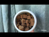 Epic Mushroom Chewies - for Immune Health and Cognitive Function in Dogs product video