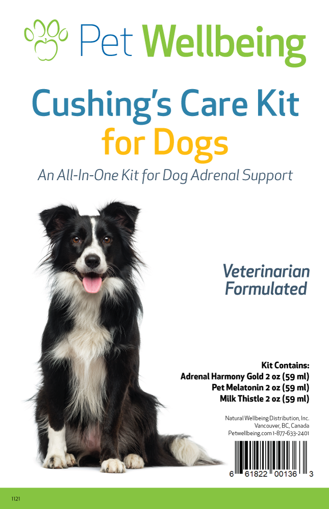 Dog cushings disease clearance treatment cost