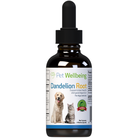Dandelion Root - Holistic Digestive & Liver Support for Cats