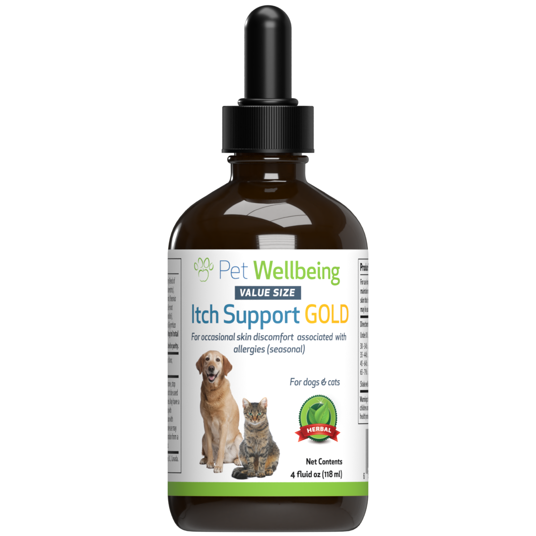 Itch medicine for dogs 2025