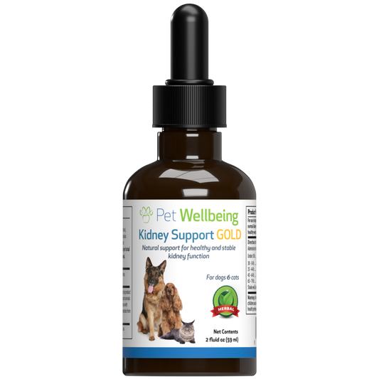 Kidney Support Gold - for Healthy Kidney Function in Cats