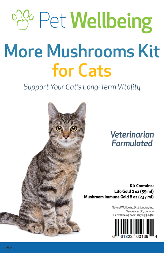 More Mushrooms Kit - Complementary and Alternative Care for Cat Immune and Antioxidant Support