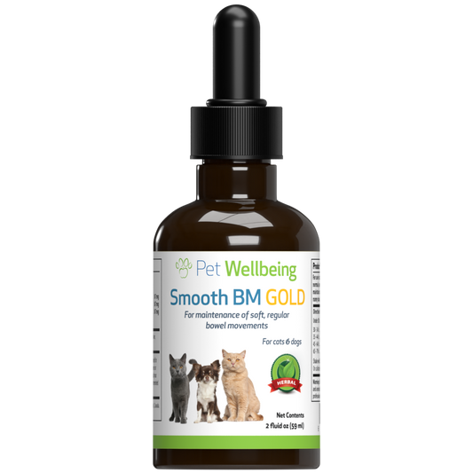 Smooth BM Gold - Supports Healthy Bowel Movements in Dogs