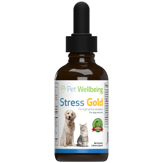 Stress Gold - for Occasional Moments of High Stress in Cats