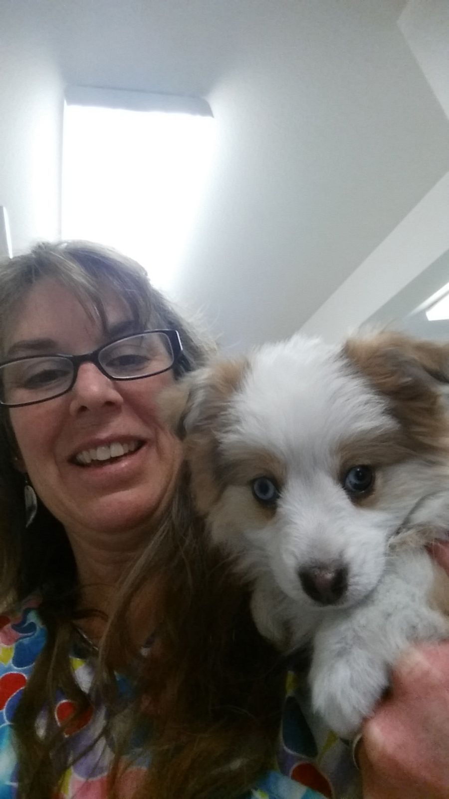 Confessions of a Vet Tech: The "Medical Mystery" That's Usually Just a Case of the Sunday Scaries