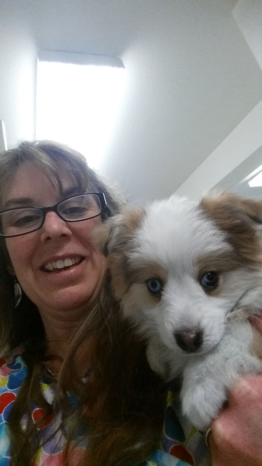 Confessions of a Vet Tech: The "Medical Mystery" That's Usually Just a Case of the Sunday Scaries