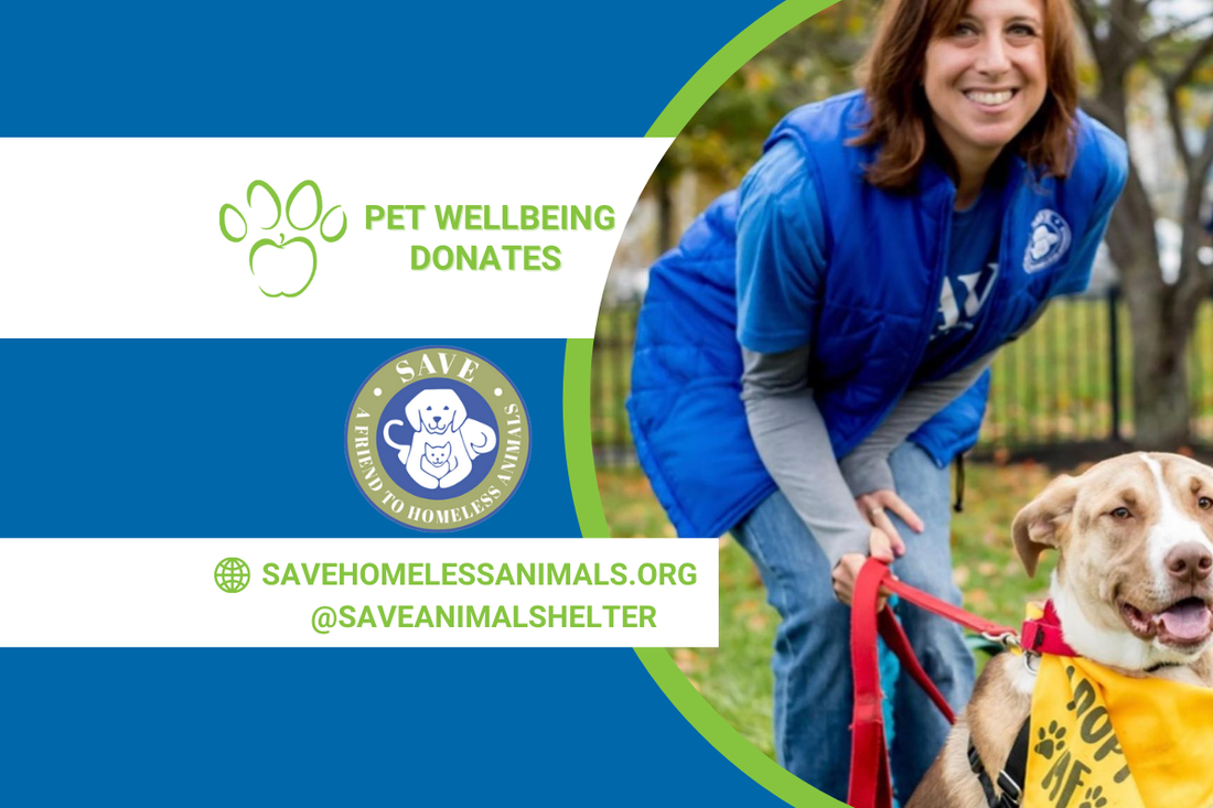 Rescue the Rescues Update: SAVE Animal Shelter