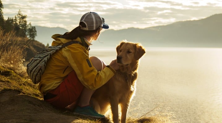 4 Tips to Enjoy Spring While Avoiding Triggering Your Dog's Allergies