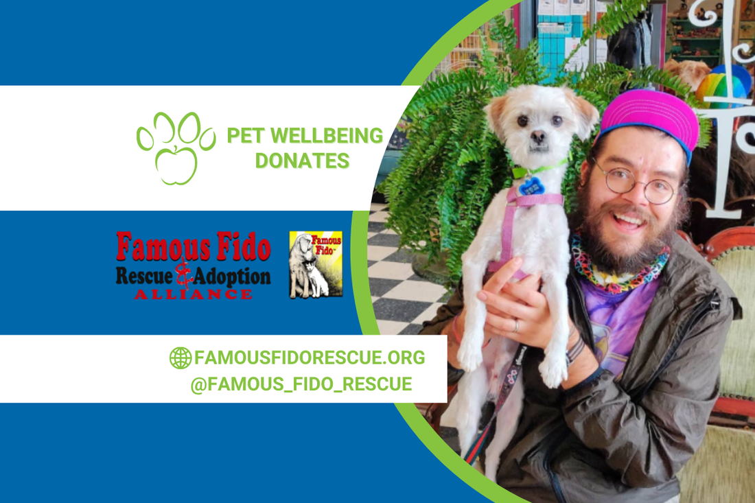 Rescue the Rescues Update: Famous Fido Rescue & Adoption Alliance