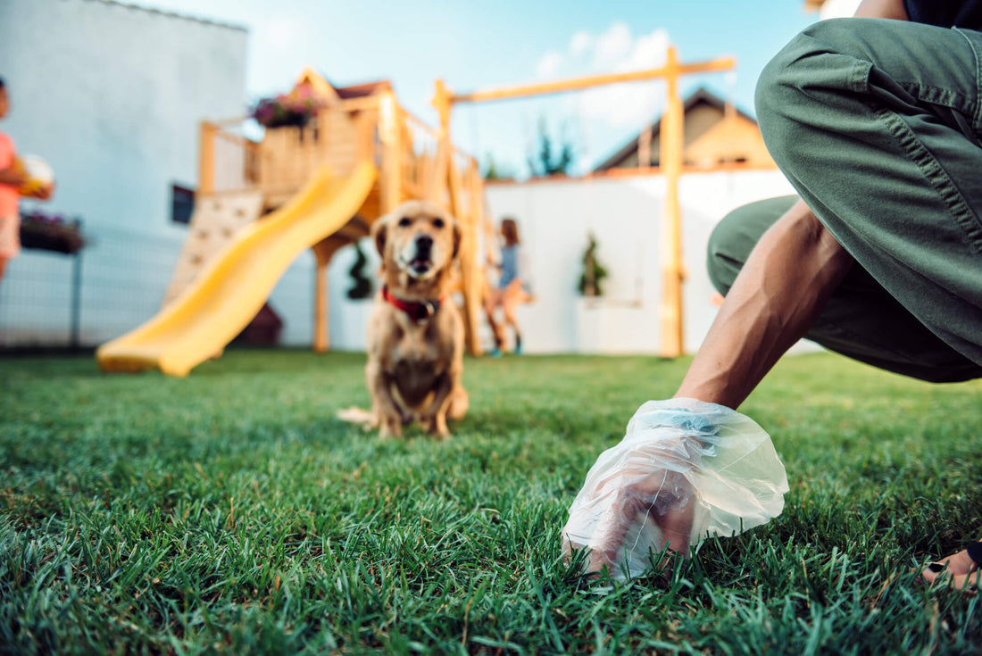 Stool Consistency Can Tell a Lot About Your Pet’s Gut Health