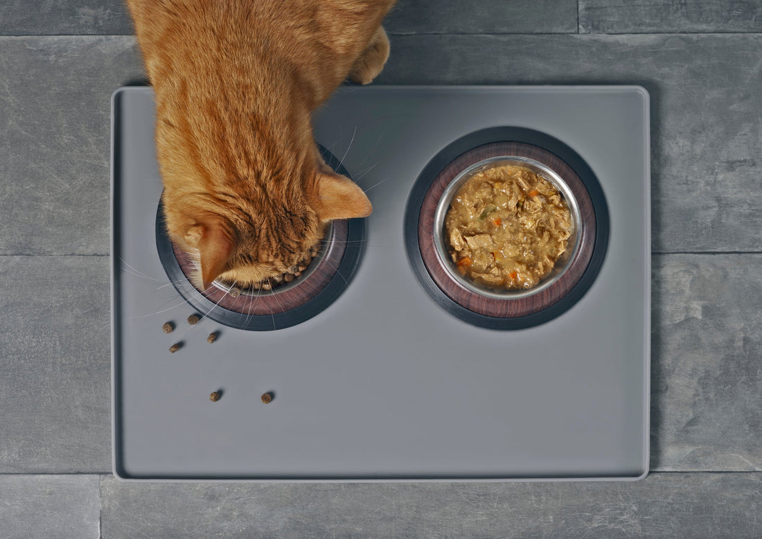 These Allergens Might be Causing Your Cat to React to Its Food