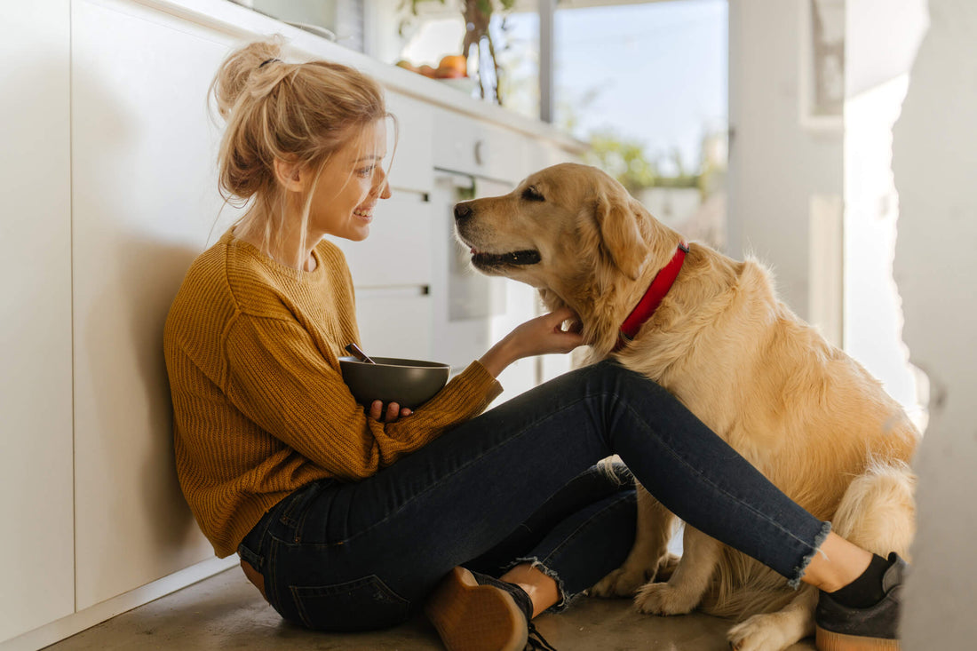 Can Dog Hypothyroidism be Managed Through Diet?