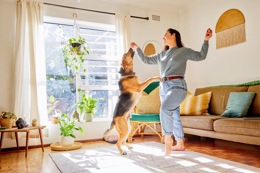 How to Manage Your Dog’s Heart Health with Nutrition