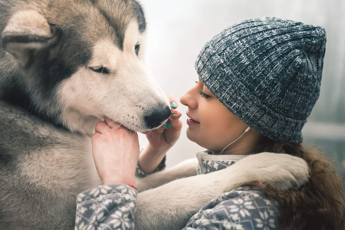 Dogs On The Move: Helping Man’s Best Friend Adapt To A New Home