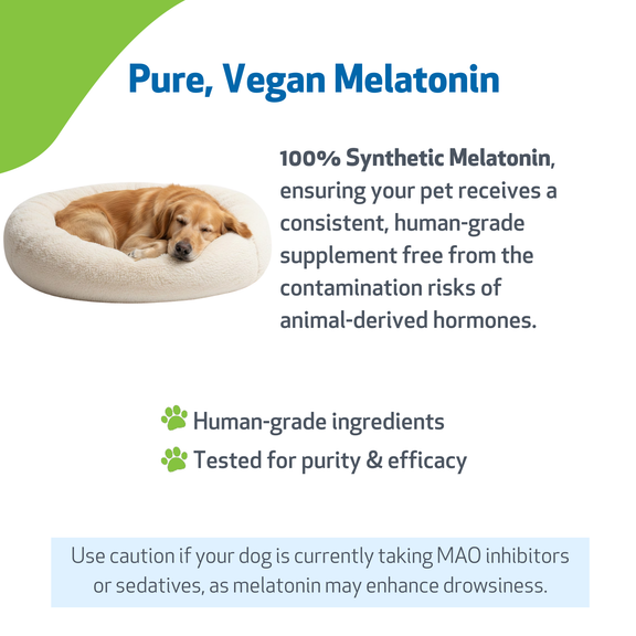 Pet Melatonin - for Healthy Sleep Patterns in Dogs | Pet Wellbeing CA