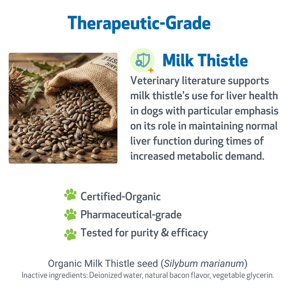 Milk Thistle for Healthy Liver Function in Dogs Pet Wellbeing CA