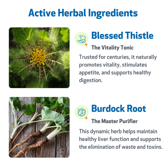 Life Gold - Immune, Antioxidant, and Detoxification Support for Dogs ...