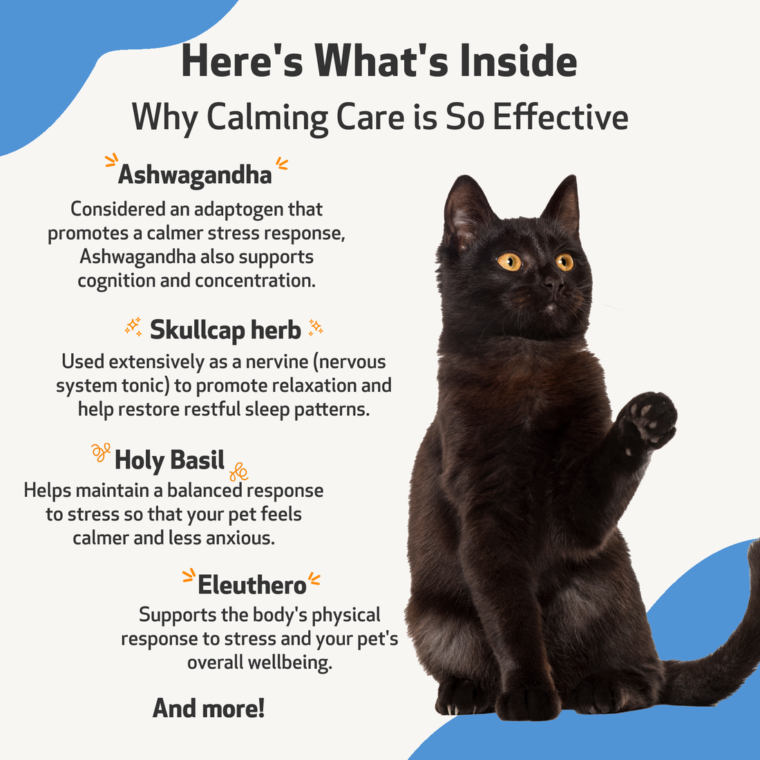 Calming a stressed deals cat