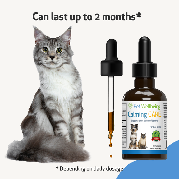 Calming formula for deals cats