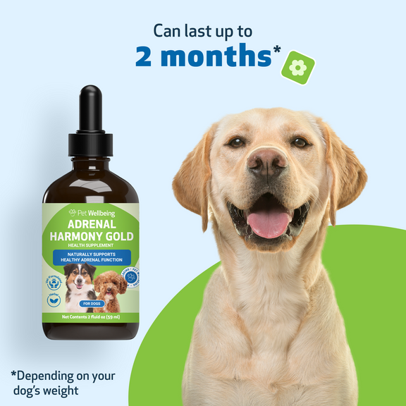 Adrenal Harmony Gold - Supports Healthy Adrenal Gland Function in Dogs ...