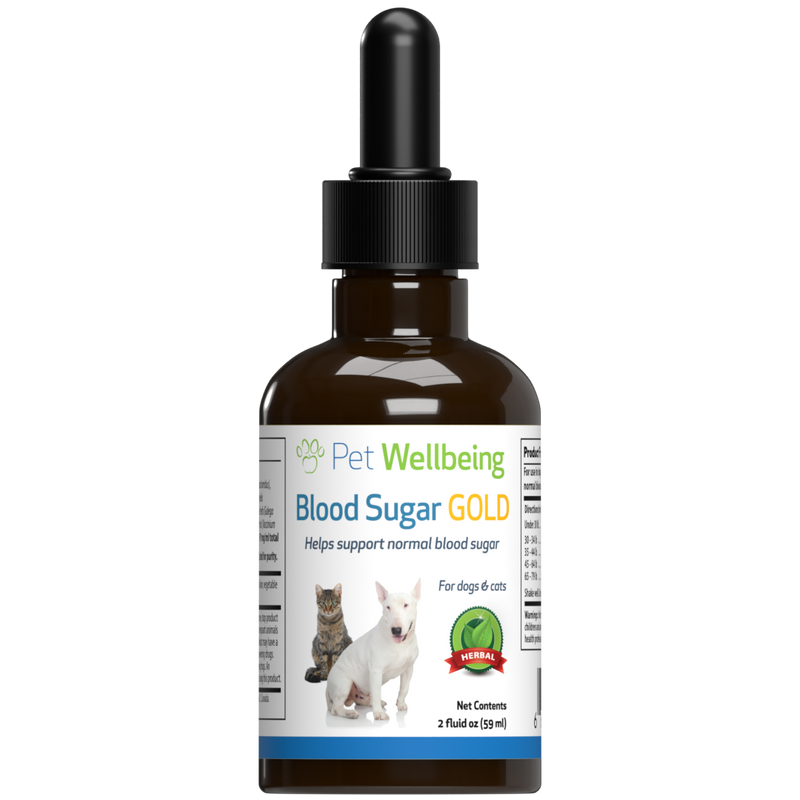 Normal blood best sale sugar for cats