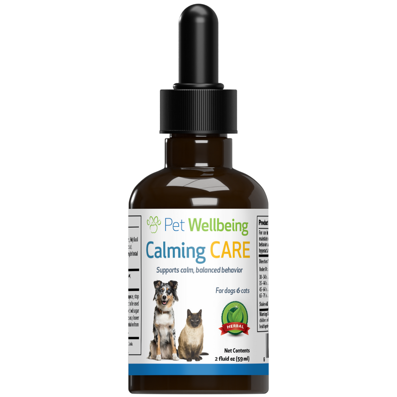 Calming Care for Cat Anxious Behavior Pet Wellbeing CA
