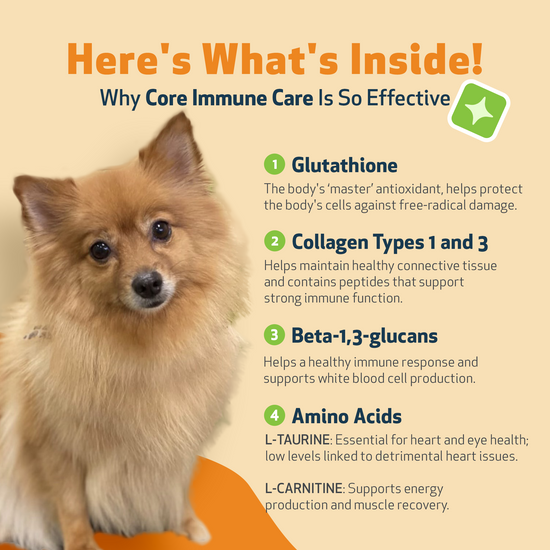 CORE IMMUNE CARE - Daily Antioxidant Support for Dogs | Pet Wellbeing CA