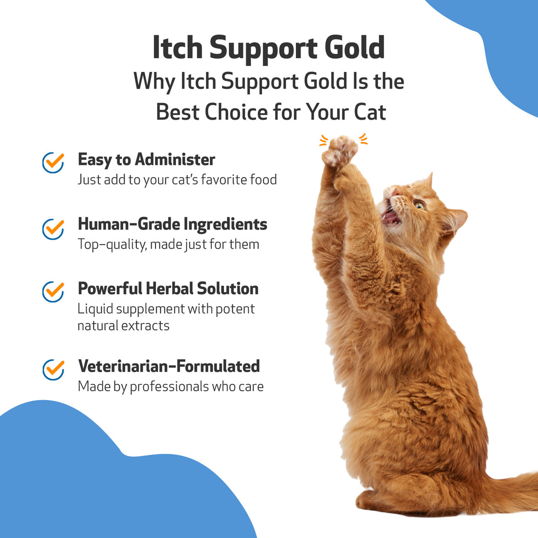 Itch Support Gold for Occasional Skin Discomfort in Cats Pet Wellbeing CA