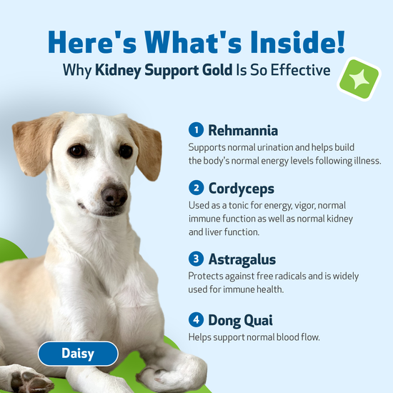 Kidney supplements for dogs best sale
