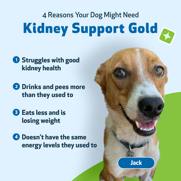 Kidney vitamins for dogs best sale