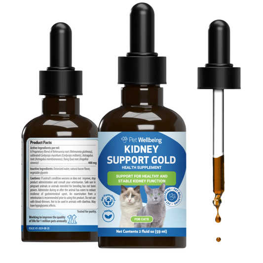 Kidney Support Gold - for Healthy Kidney Function in Cats