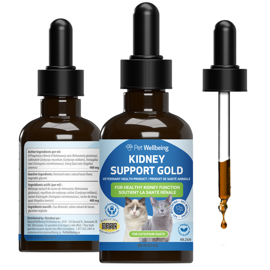 Kidney Support Gold - for Healthy Kidney Function in Cats