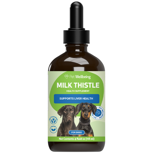 Milk Thistle - for Healthy Liver Function in Dogs