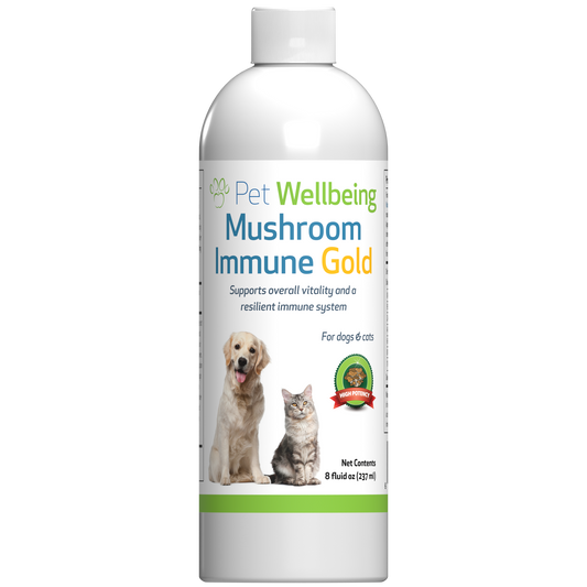 Mushroom Immune Gold - Holistic Immune Support for Cats