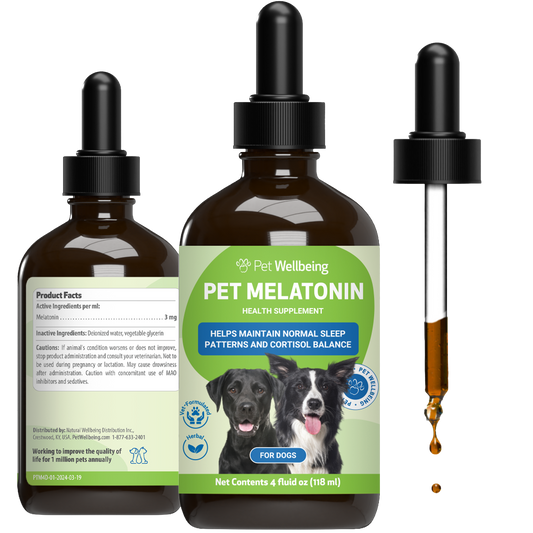 Pet Melatonin - for Healthy Sleep Patterns in Dogs