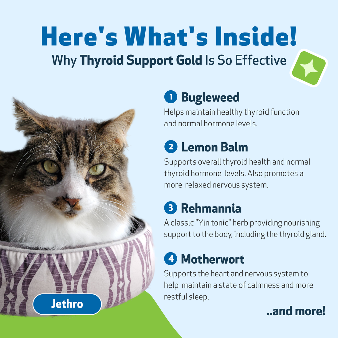 Best cat food for thyroid problems clearance