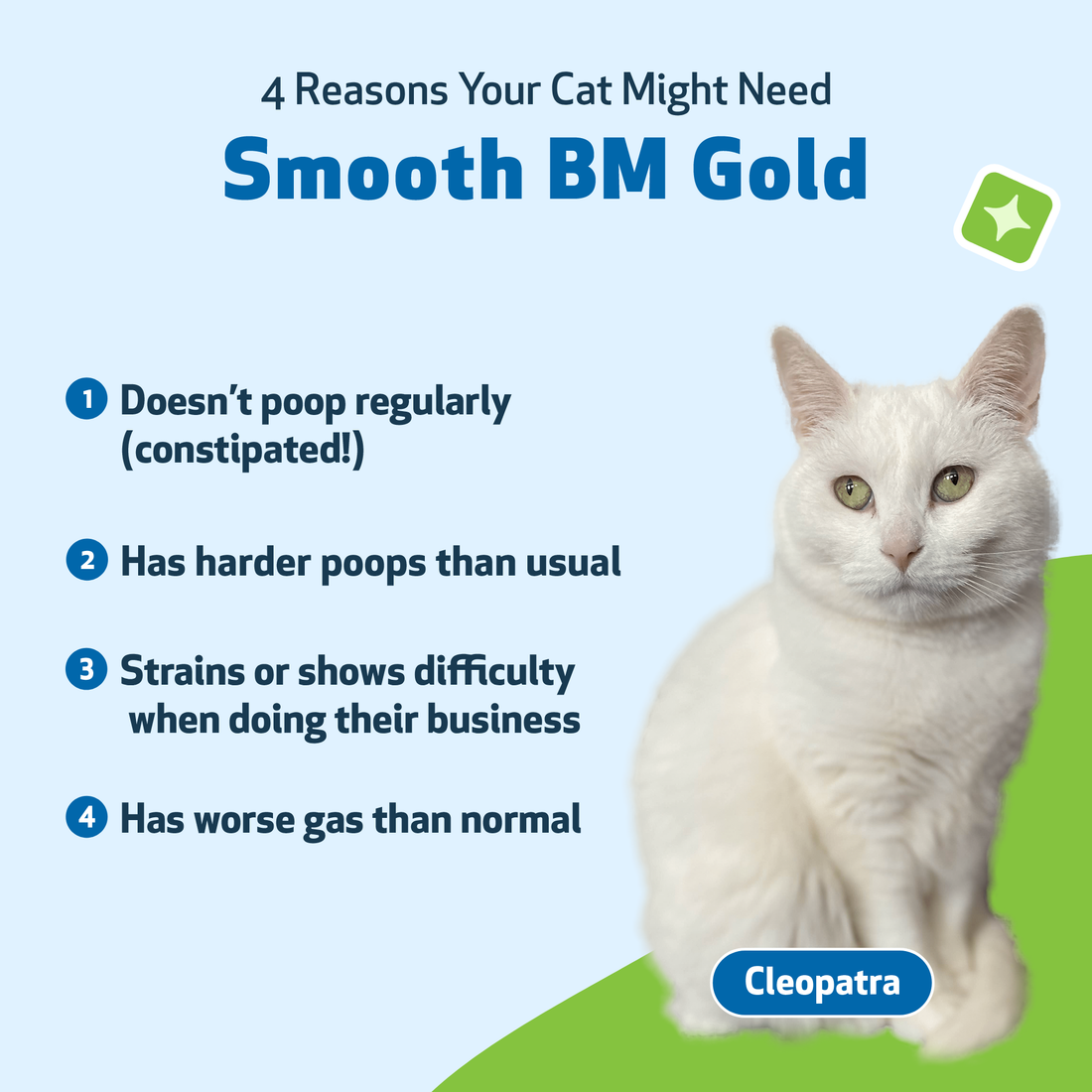 Smooth BM Gold Supports Healthy Bowel Movements in Cats Pet Wellbeing CA