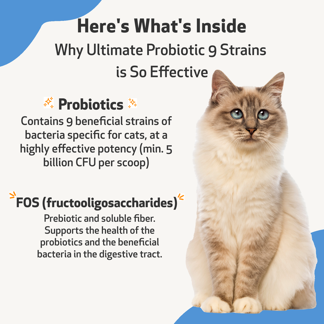 Cat hotsell probiotics canada