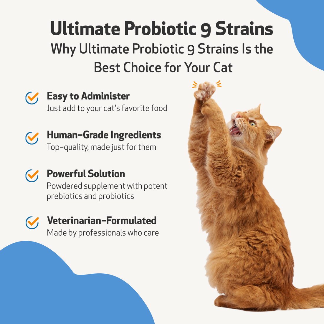 Ultimate Probiotic 9 Strains with Prebiotics Gut Microbiome Health f Pet Wellbeing CA