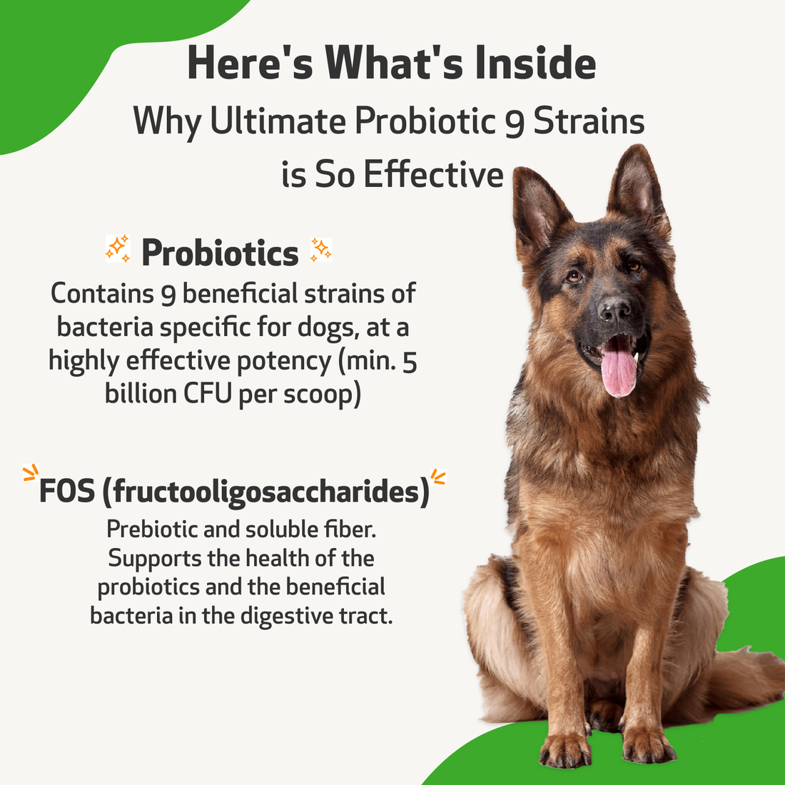 Pet 2024 ultimates probiotics