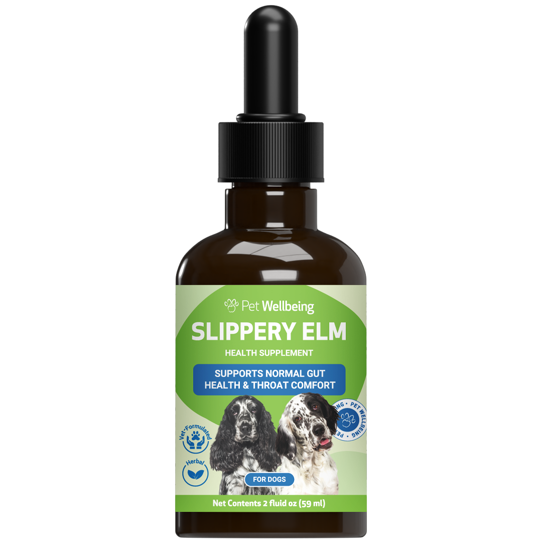 Slippery Elm - for Healthy Digestive Tract and Throat Tissue in Dogs ...