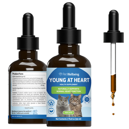 Young at Heart - Holistic Heart Health Care for Cats