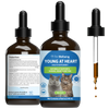 Young at Heart - Holistic Heart Health Care for Cats