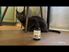 Smooth BM Gold - Supports Healthy Bowel Movements in Cats product video